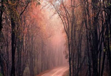 苏群:真不想看到湖勇在第一轮就相遇 至少各自先打一轮再说.