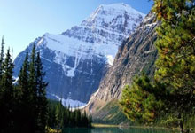 开云:2万人面前,48岁夏奇拉炮轰皮克:可耻!解雇保姆不赔偿.