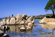 首次使用参赛豁免权 国乒多名主力缺席WTT仁川冠军赛央视体育.